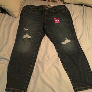 Torrid Dark Denim Jeggings